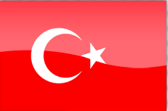 Türkçe